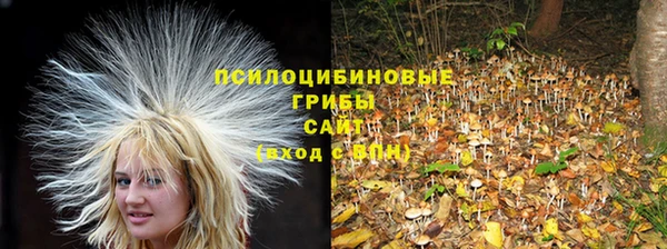 мескалин Алексин
