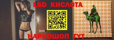 шишки Жуковский