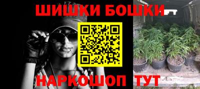 шишки Жуковский