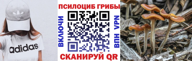 Псилоцибиновые грибы GOLDEN TEACHER  продажа наркотиков  Самара 