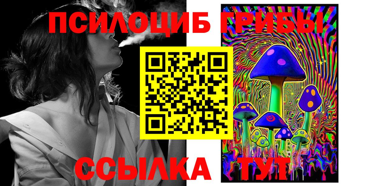 Псилоцибиновые грибы мухоморы  Галлюциногенные грибы MAGIC MUSHROOMS  где найти наркотики  Самара  Вход с VPN 